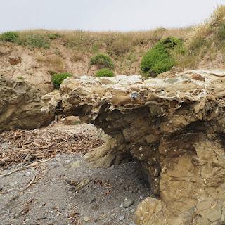 California's Central Coast, through a lens