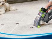 Perfect Families W/little Mess Makers!