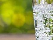 Should Start Your with Lemon Water