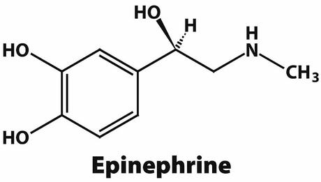 Epinephrine Market