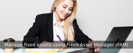 QuickBooks Fixed Asset Manager