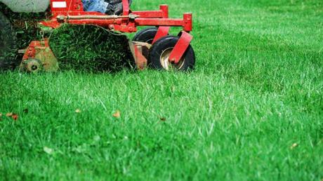 Tips for Maintaining a Beautiful Lawn All Summer