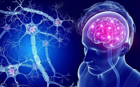 Revolutionizing Traumatic Brain Injury Therapeutics: Cutting-Edge Approaches And Technologies