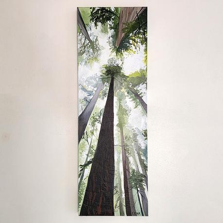 Vertical Green Forest Paintings and Art Prints | Redwoods Art | Sunlight Shining Through Trees