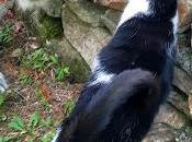 Sisters From Different Mothers