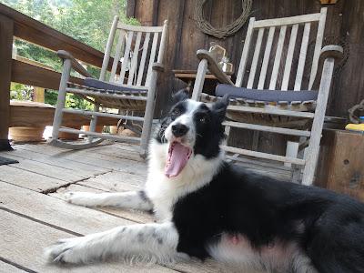 Sisters From Different Mothers