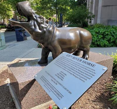 HIPPOS IN THE POTOMAC? George Washington University Statue, Washington, D.C.