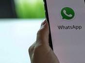 Need Google Meet, WhatsApp Will Allow Screen Sharing During Video Calling