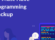 Startup Must Have Second Programming Team Backup