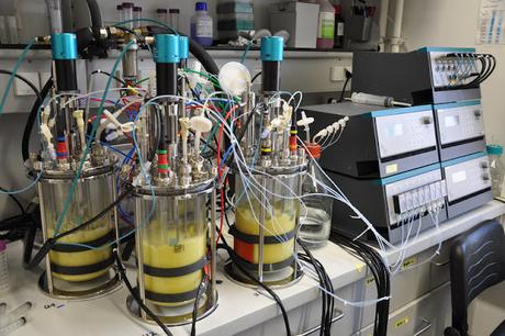 Unlocking The Potential Of The Small Scale Bioreactors Market: Market Trends And Emerging Technologies Unlocking The Potential Of The Small Scale Bioreactors Market: Market Trends And Emerging Technologies