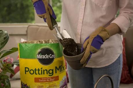 Helps you grow beautiful plants twice as big!