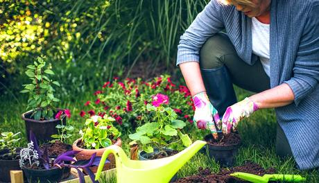 Gardening for Beginners in 2023: A Comprehensive Guide