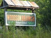 Josie Went Nature Camp