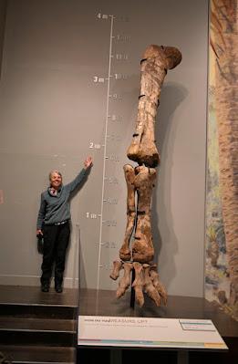 THE ROYAL TYRELL MUSEUM, Drumheller, Alberta, Canada, a Prehistoric Treasure Trove