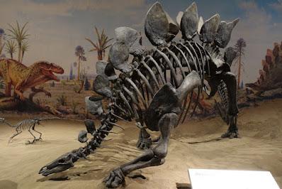 THE ROYAL TYRELL MUSEUM, Drumheller, Alberta, Canada, a Prehistoric Treasure Trove