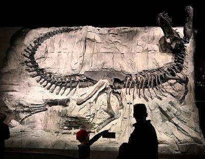 THE ROYAL TYRELL MUSEUM, Drumheller, Alberta, Canada, a Prehistoric Treasure Trove