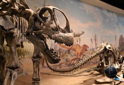 THE ROYAL TYRELL MUSEUM, Drumheller, Alberta, Canada, a Prehistoric Treasure Trove