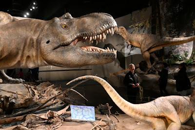 THE ROYAL TYRELL MUSEUM, Drumheller, Alberta, Canada, a Prehistoric Treasure Trove