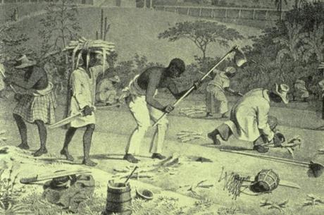 Life of Slaves in the Bahamas