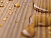 Wood Preservatives Beneficial Controlling Fungal Decay, Sapstain, Molds Wood-Destroying Insects