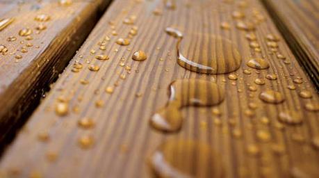 Wood Preservatives Are Beneficial For Controlling Fungal Rot Or Decay, Sapstain, Molds And Wood-Destroying Insects Wood Preservatives Are Beneficial For Controlling Fungal Rot Or Decay, Sapstain, Molds And Wood-Destroying Insects