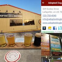 Craft Beer and Rum Agricole in Lafayette, Louisiana