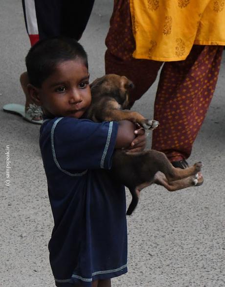 Compassion !!  -  உயிர்களிடத்தில் அன்பு வேணும்  !!