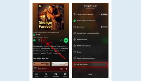 What Does “Eat This Playlist” Mean on Spotify?