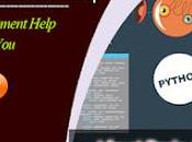 Expert Visual Basic Assignment Help Score High Grades