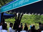 Lanka Insurance Provides Three Decades Unceasing Assistance Poson Pilgrims Anuradhapura