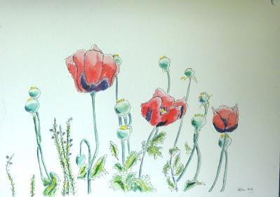 Still Learning . . .