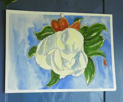 Still Learning . . .