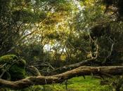 Portrayals Gaming Masterminds Movies