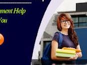 Assignment Help Melbourne Service Bring Academic Brilliance Into Your Life.