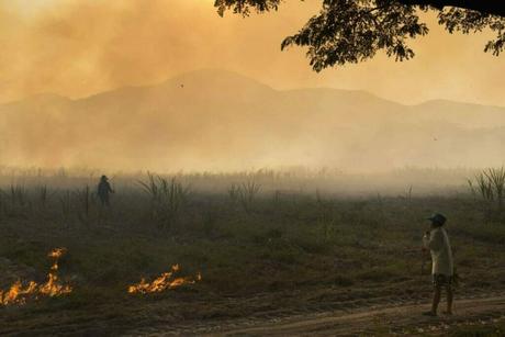 Long-term Environmental Consequences