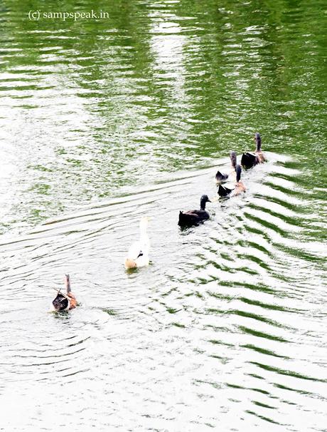 following the chosen path - பாதை மாறிப் போகும் போது..