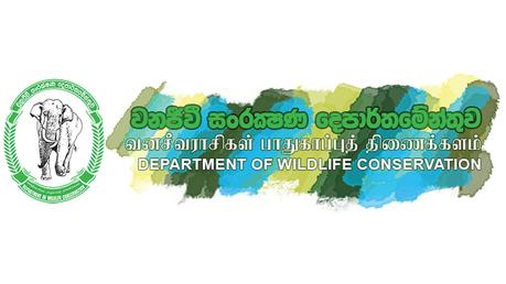 Wildlife Dept. halts export of monkeys to China