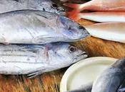 Soaring Fish Prices Decrease Harvest Shallow Seas