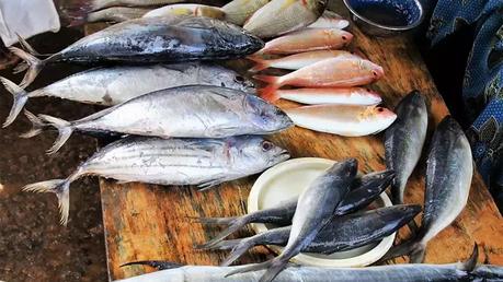 Soaring fish prices due to decrease in harvest in shallow seas