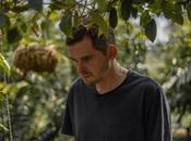 Modern Nature: Murmuration