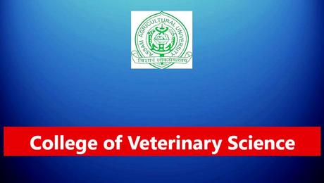 College of Veterinary Science Guwahati Recruitment 2023  4 Posts