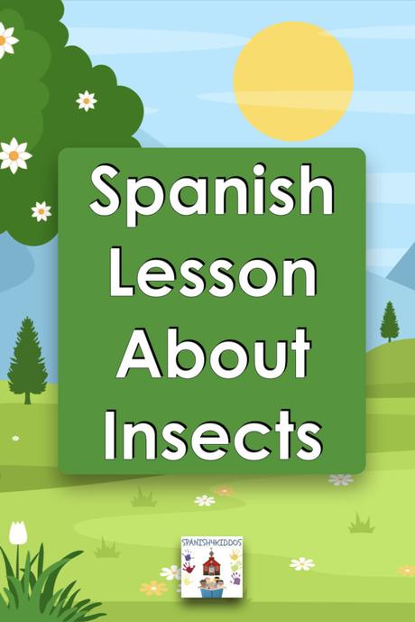 Spanish lesson about insects