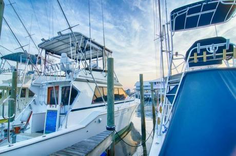 Best Fishing Charters