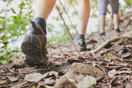 Hiking Trails