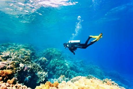 Scuba Diving Spots