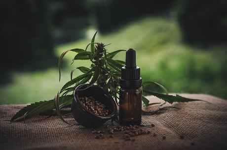 Ten Things You Didn't Know About The Origins of CBD Oil: A Historical Perspective