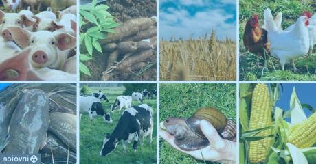 Money Making Agriculture Business Ideas