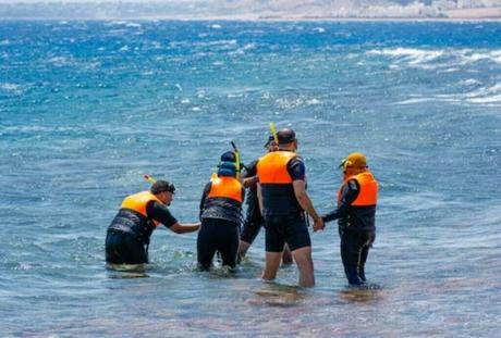 Beach Safety