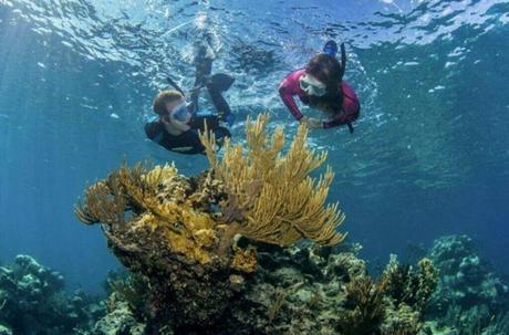 Best Snorkeling Sites