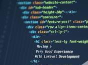 Find Laravel Developers Senior Development Company 2023